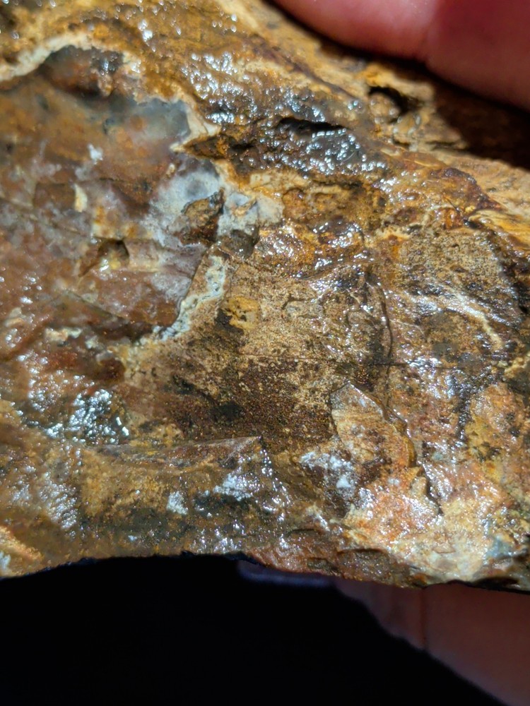 Biggs Jasper Specimen w/ Rolling Hills Patterns Natural Form (6lbs 10oz)