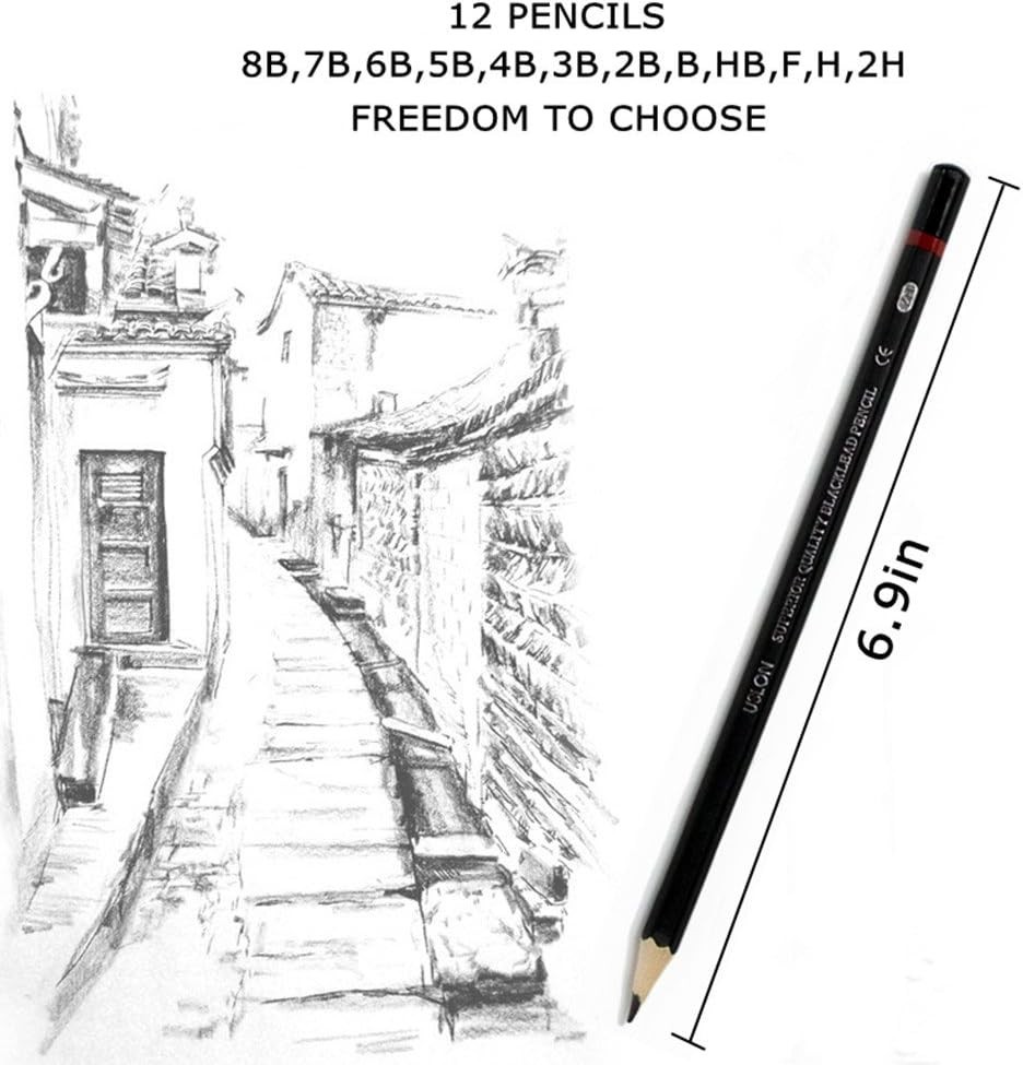 12 Graphite Art Pencil Set with Erasable Feature - Storage Case Included