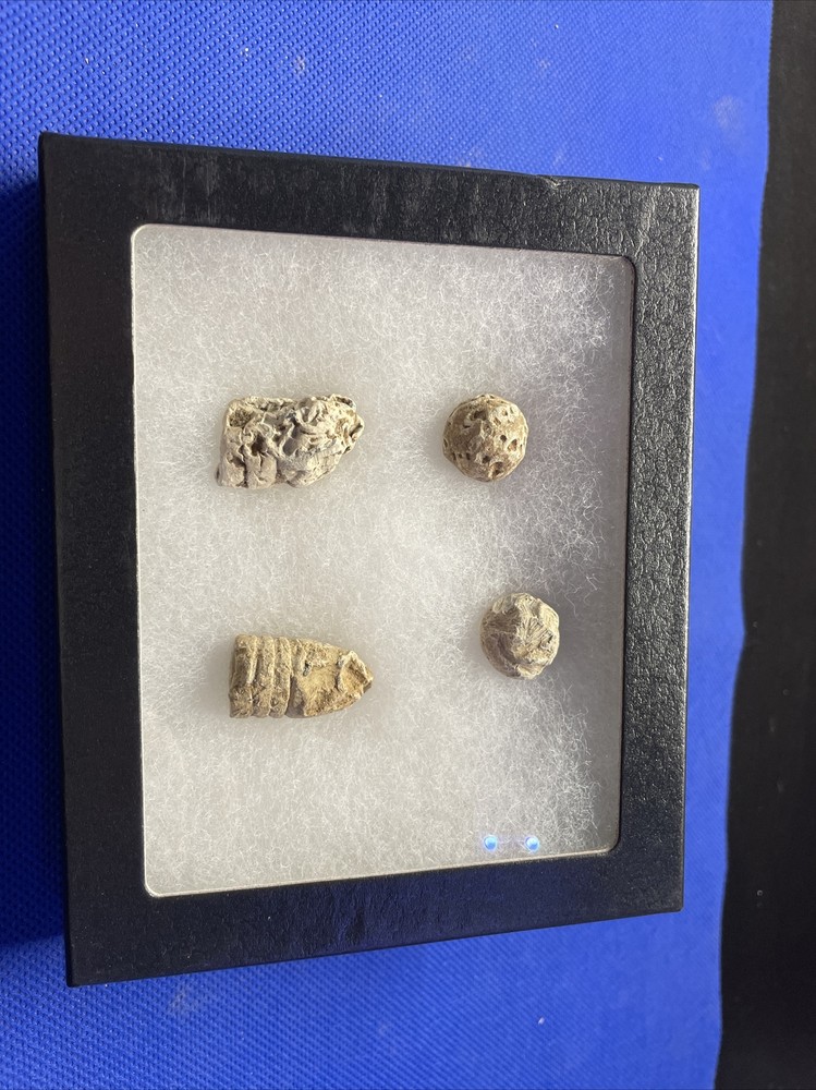 dug civil war relics