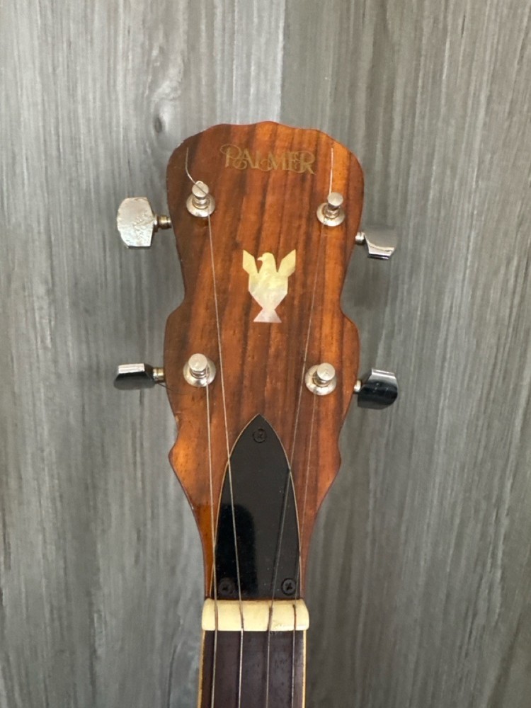 PALMER GUITAR 5-STRING BANJO (PSO039330)