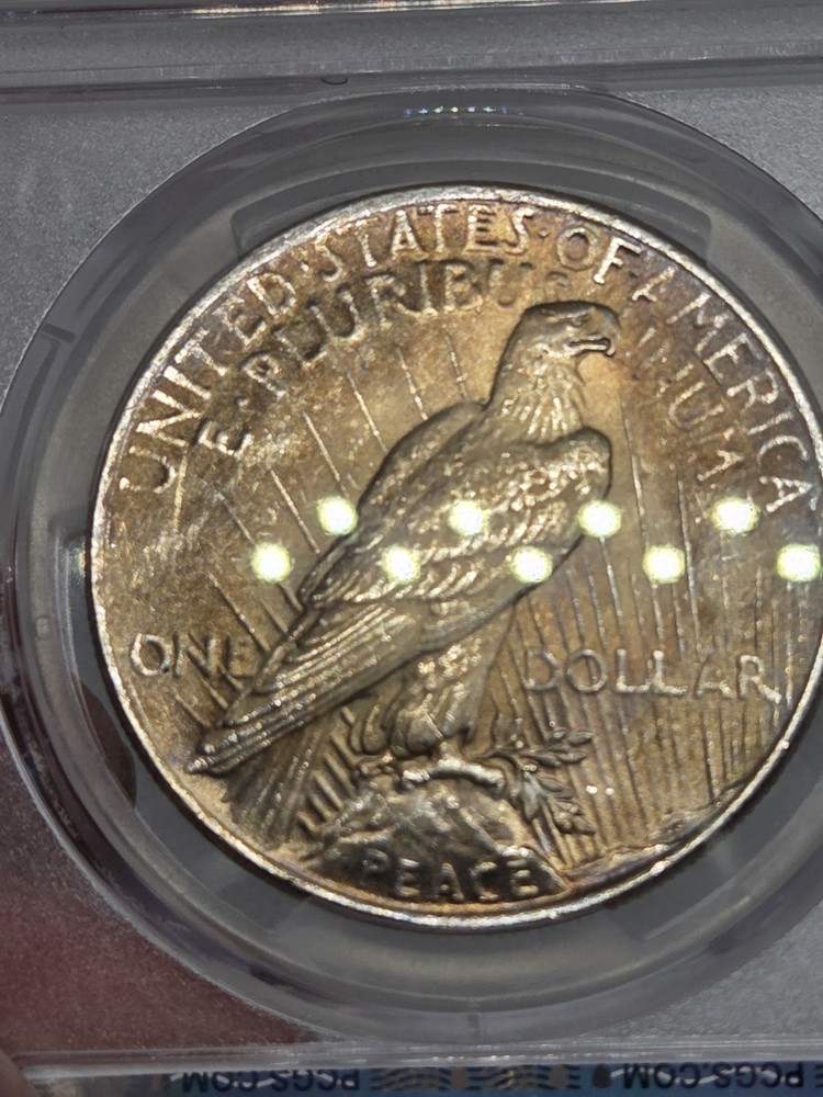 1925 $1 Peace Dollar PCGS MS63 Toned