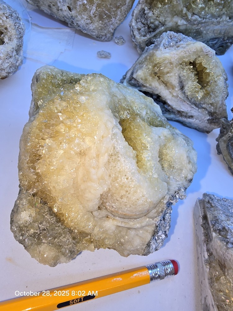 Crystal Shell Calcite Filled 1 million Yr+ Phosphorescent