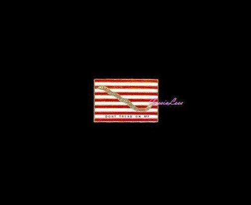 US Navy 1st Navy Jack  + a custom promo pin