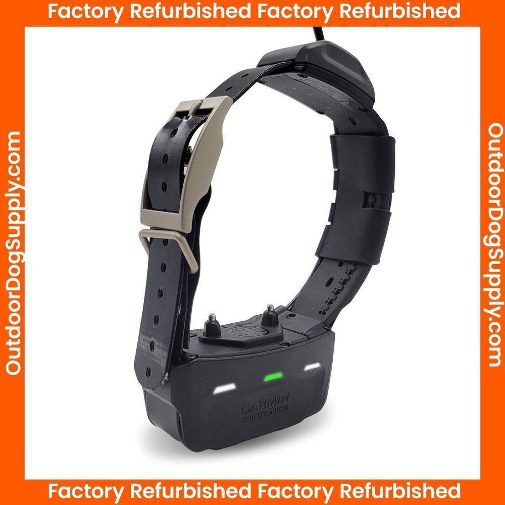 Garmin TT15X Collar with Basic Garmin Strap