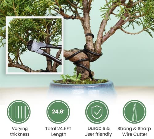 12PCS Heavy Duty Bonsai Tools Set - Pruning Shears, Concave Cutter, Wire Rolls &