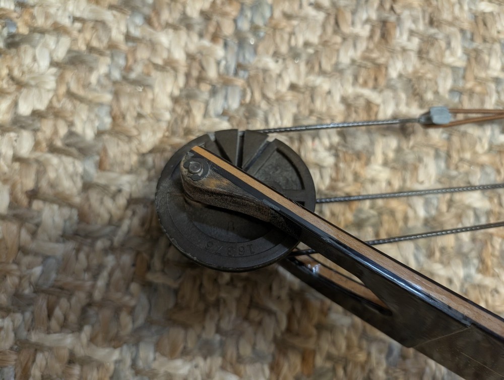 Brown Bear AMO Compound String Length 37 Bow