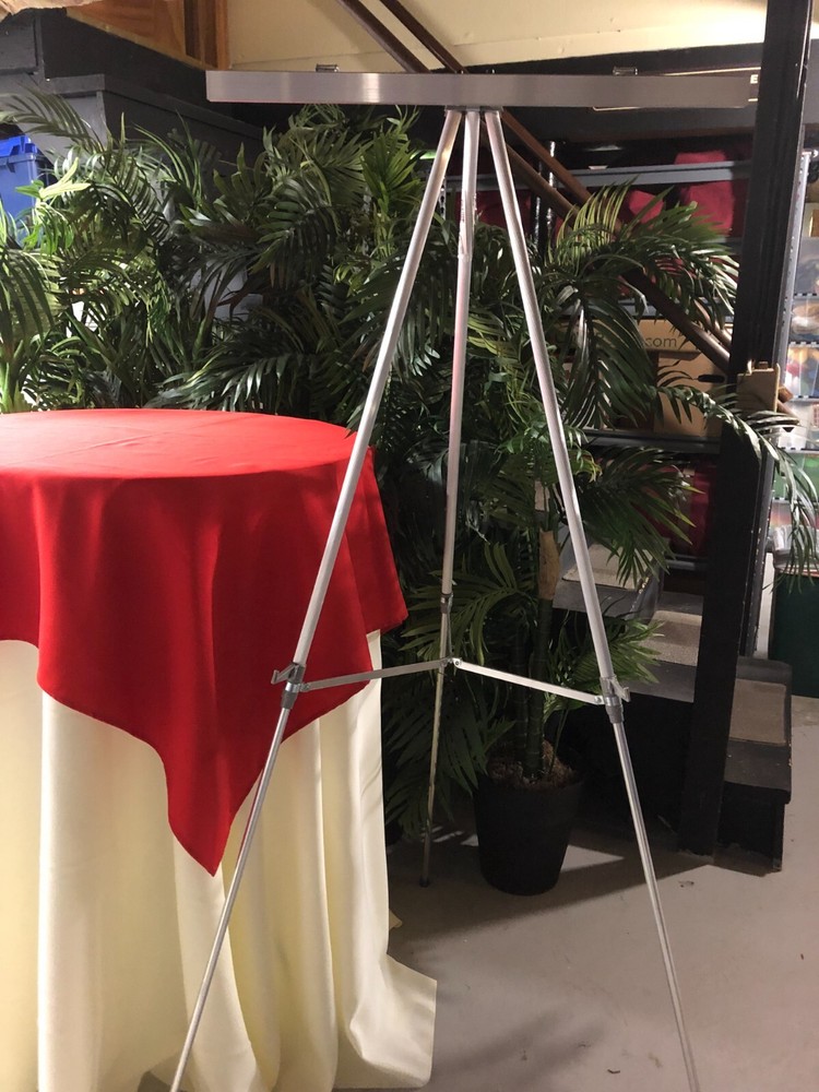 Quartet Tri-Lite Dual Purpose Easels