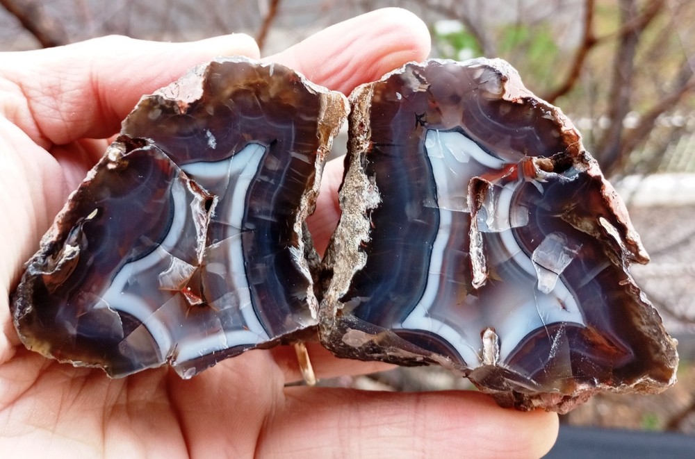 Mirrror Polished White Lace Black Agate Pair Uv Reactive