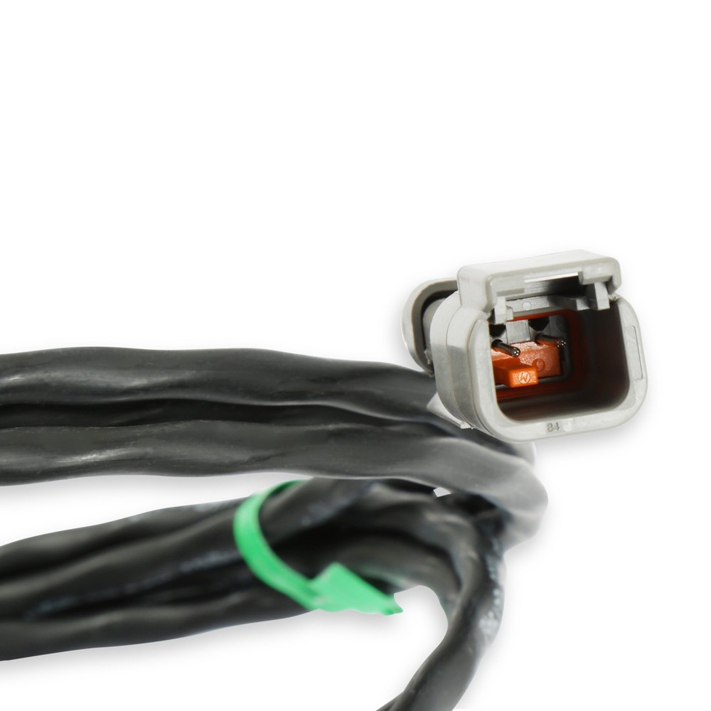 Racepak 280-CA-EFIHOLMX