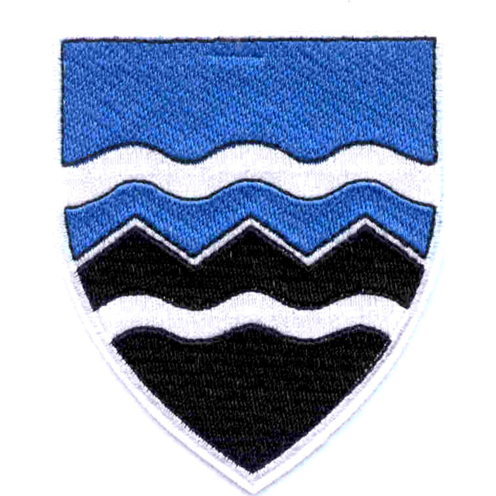 397th Airborne Infantry Regiment Patch