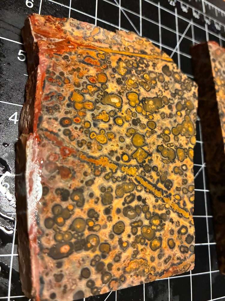 OLD CLASSIC LEOPARD JASPER SLABS (TWO) @ 500 Grams GOOD STUFF