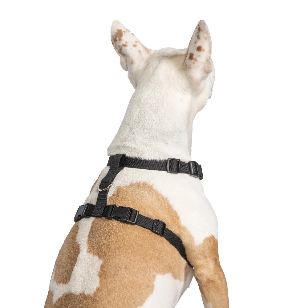Adjustable Reflective Mesh Dog Harness for Large Dogs Black