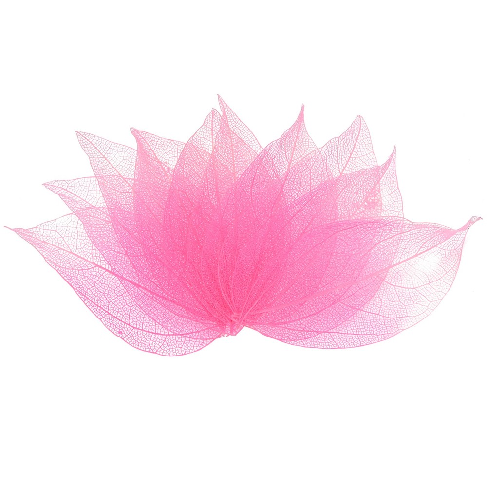 Skeleton leaves 100pcs [4-6cm, light/dark pink]