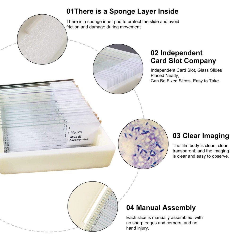 20pcs Microscope Slides Biology And Pathology Prepared Microbiological...
