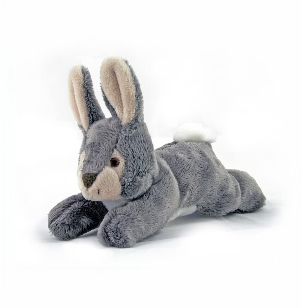 Jessica Bunny