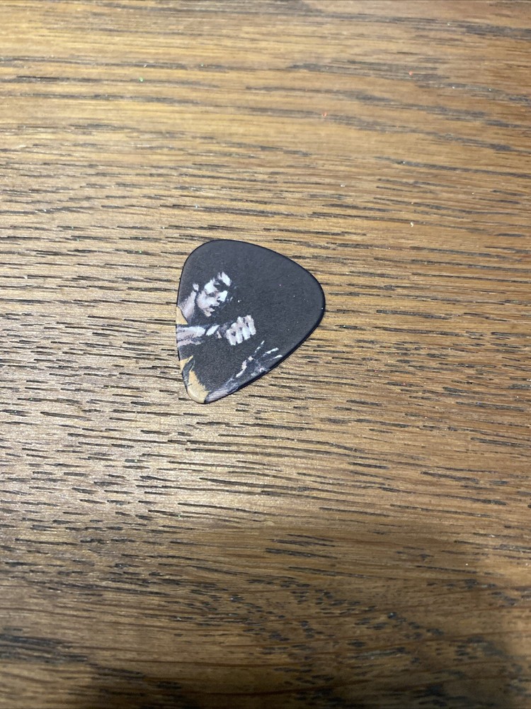 Bruce Lee Karate Guitar Pick