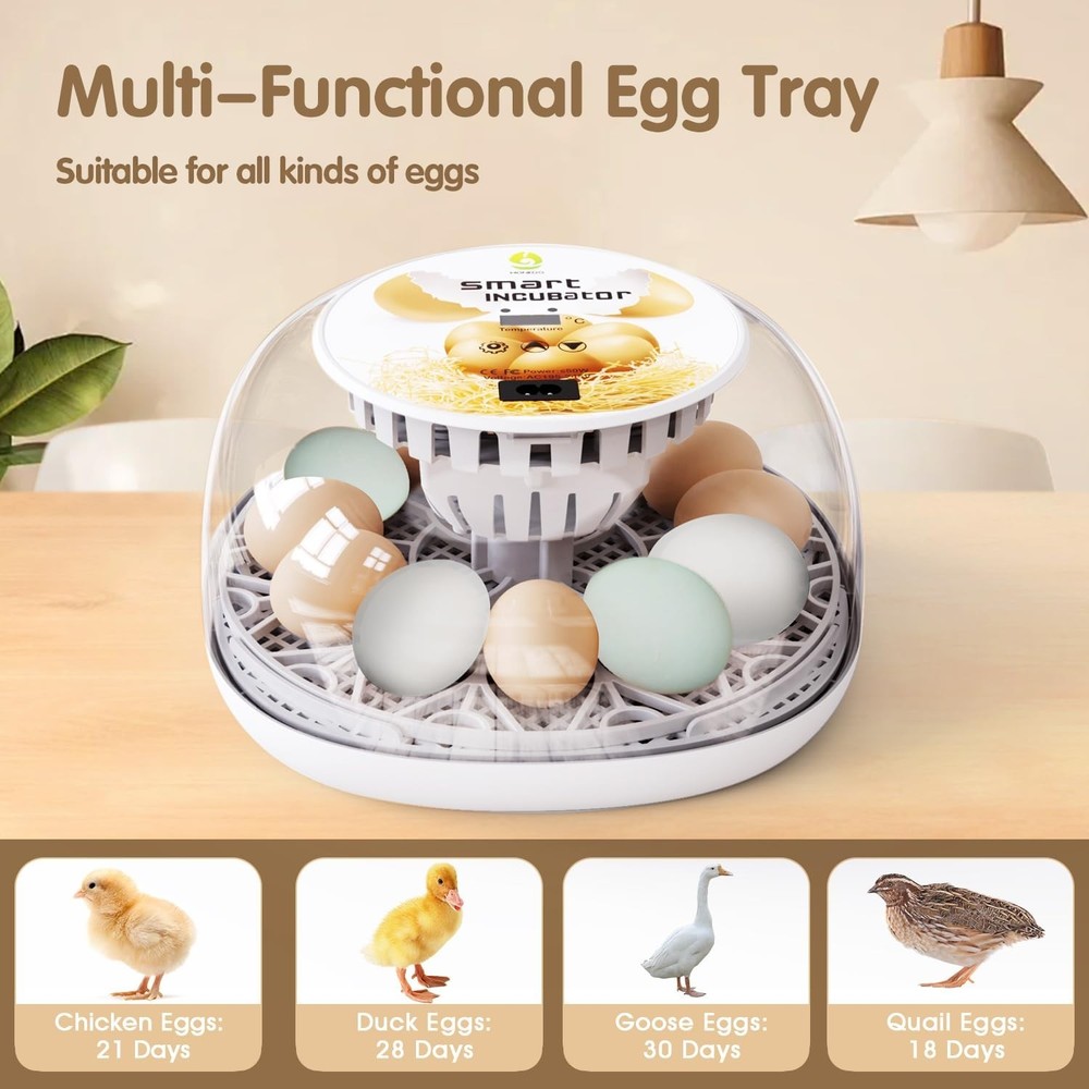 Incubators for Hatching Eggs Quail Egg Incubator 12 Eggs with Automatic Egg T...