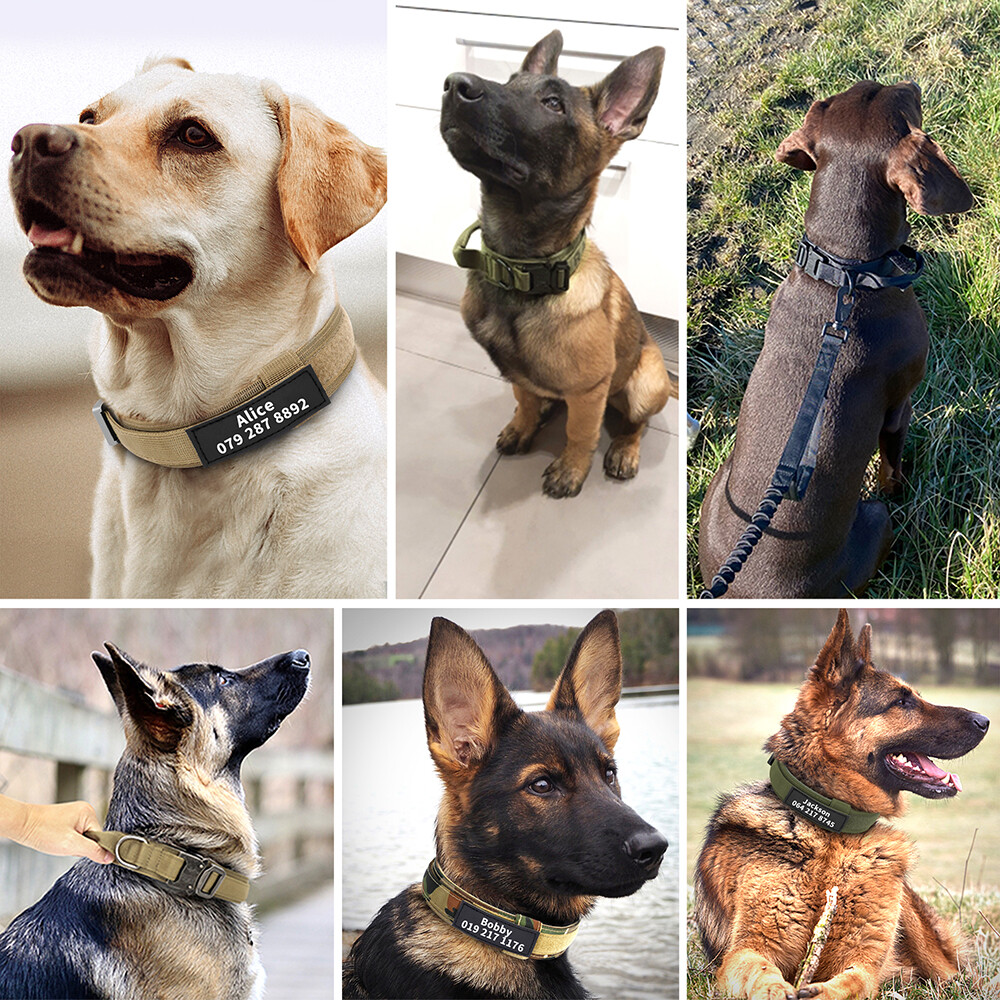 Personalized Tactical Dog Collar with Handle Military Training Custom Name Print