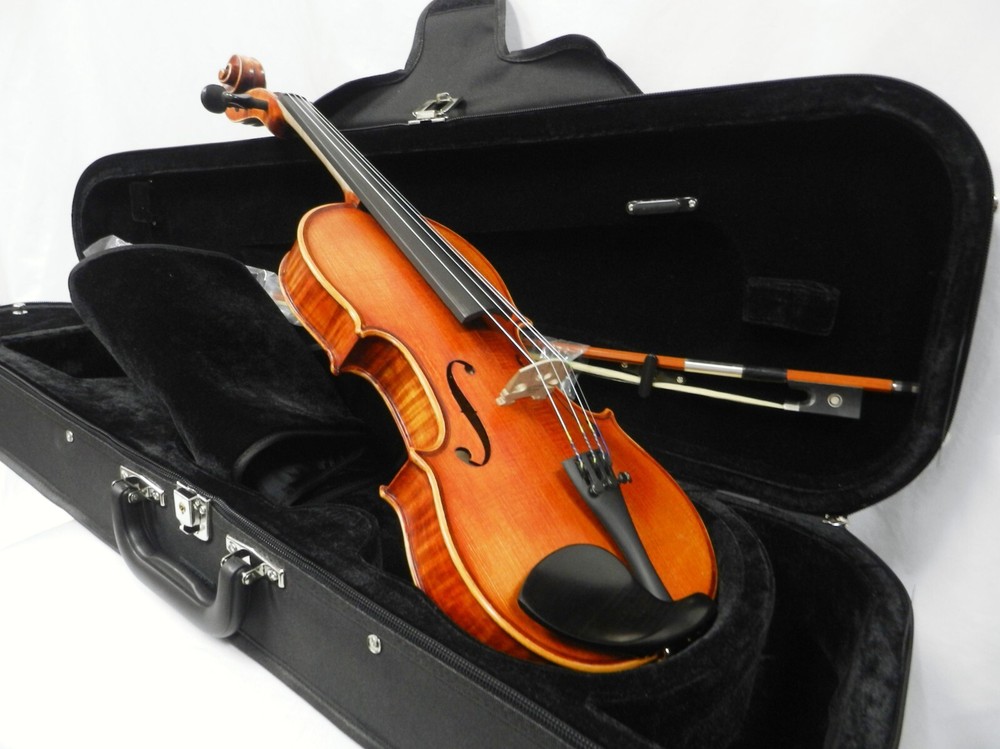 New Advanced Violin 4/4 Size Outfit /Dominant Strings & Despiau Bridge