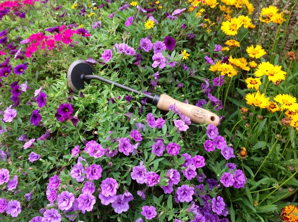 N Dewit Garden Disc Weeder With Short Handle