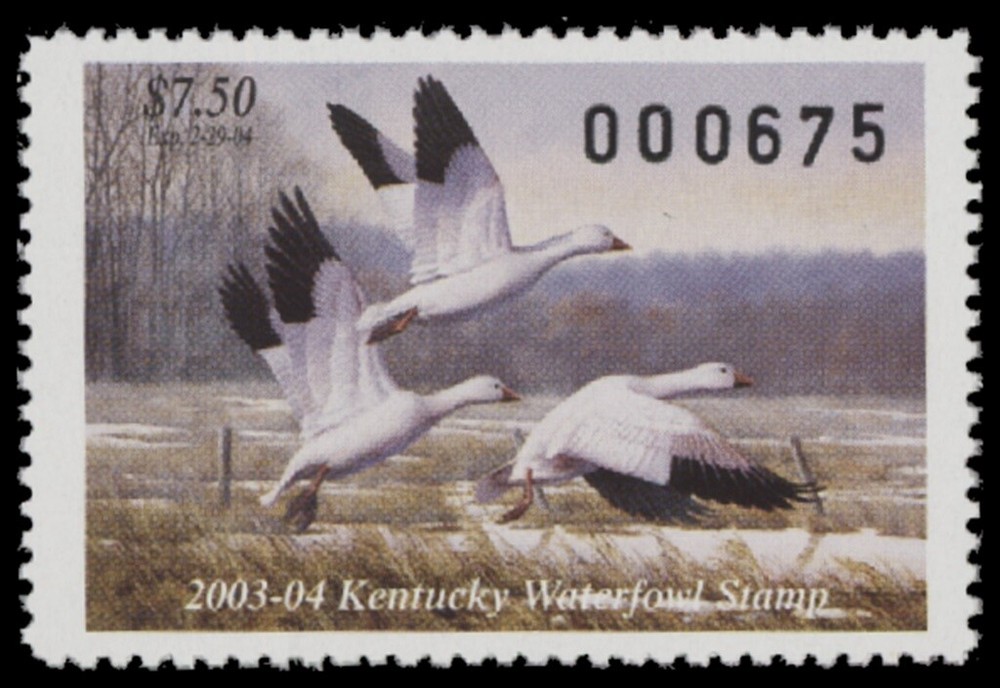 2003  Kentucky State Duck Stamp Mint Never Hinged. Original Gum
