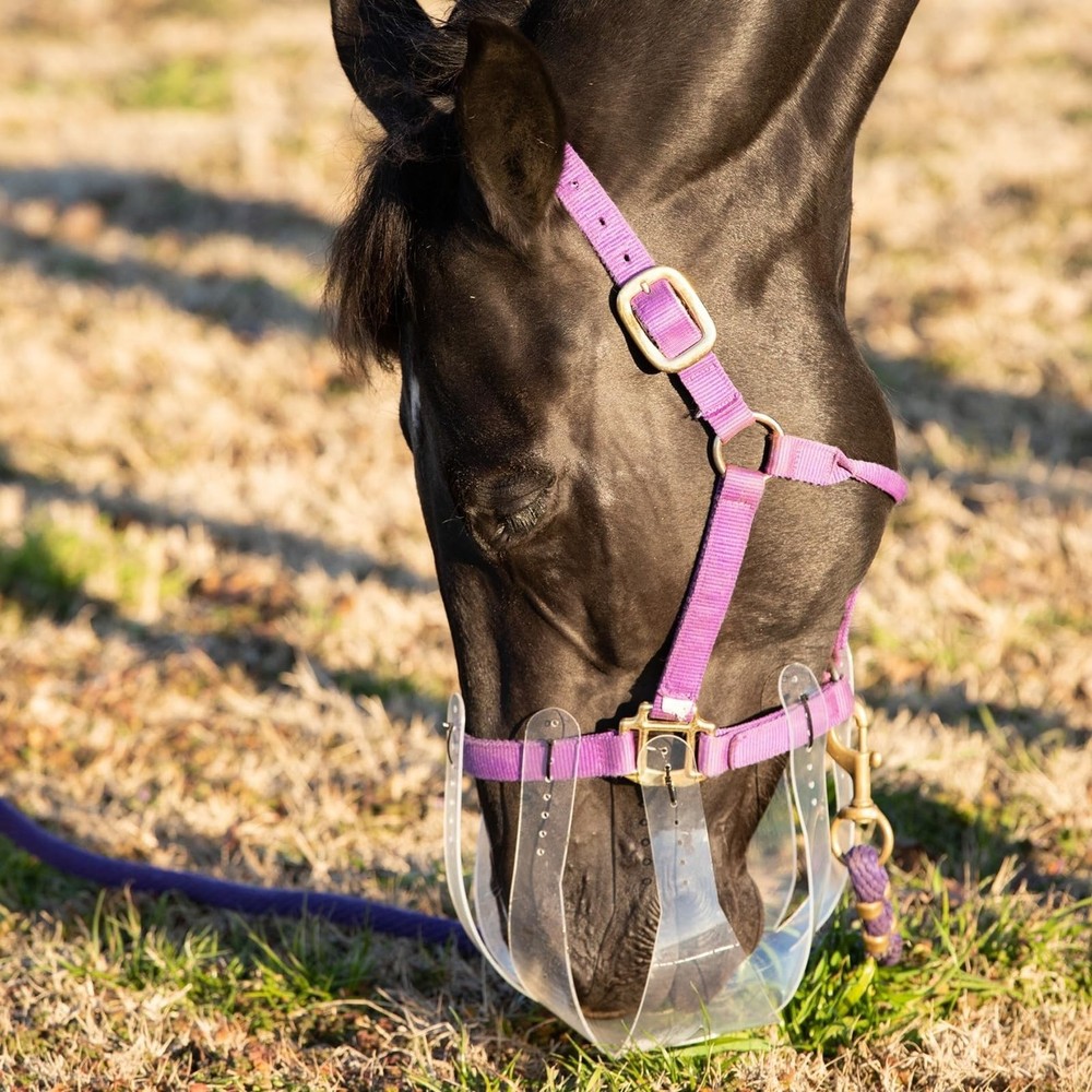 ThinLine Flexible Filly Grazing Muzzle | Lightweight Safe Comfortable Ventila...