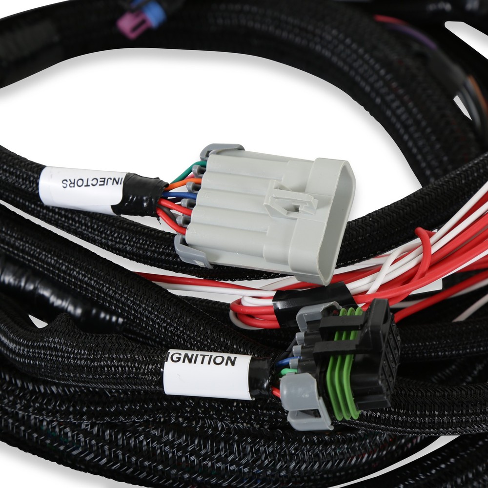 Holley EFI 558-128 Engine Main Harness