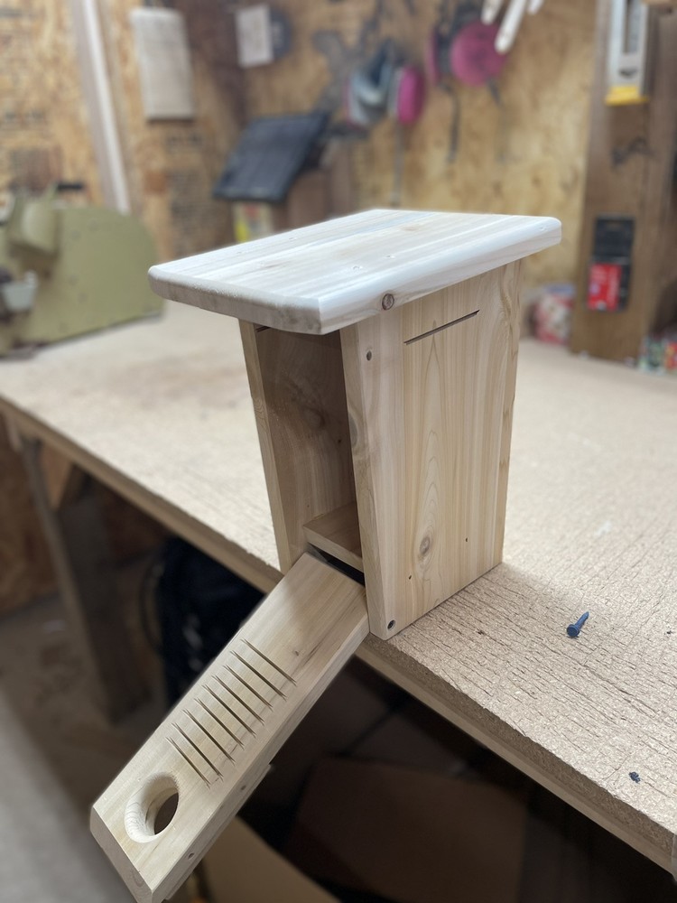 White cedar Bluebird nesting box