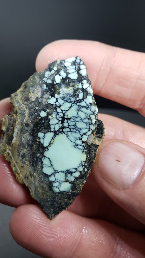Nevada Polychrome Gecko Variscite Slab