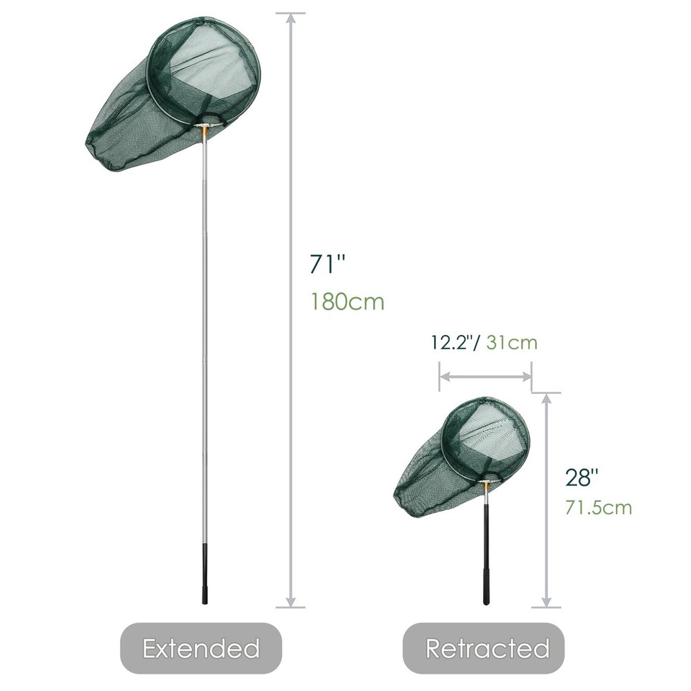 Professional Butterfly Net with 12" Ring, 20" Depth, Extendable Handle to 59"...