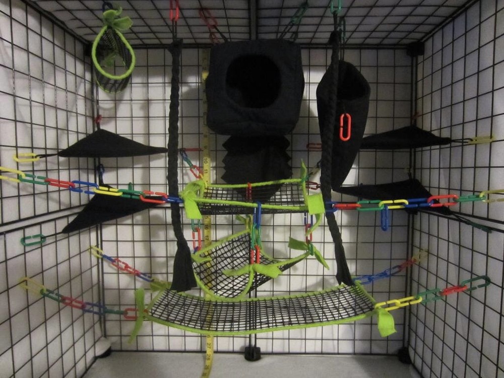 15 pc - Cube Neon Green Mesh Sugar Glider Cage Set | Sugar Glider Accessories