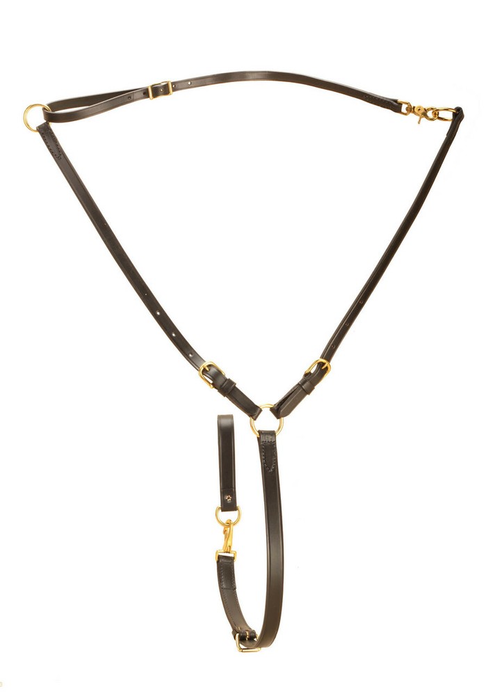Tory Leather Adjustable Ring Training Martingale