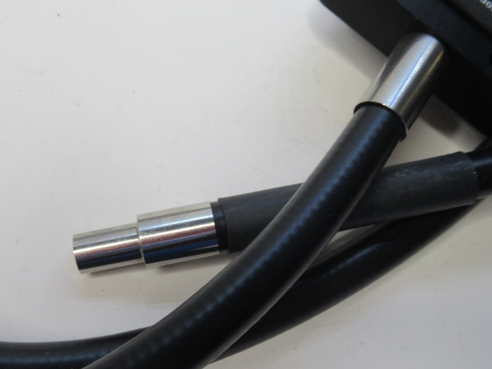 (NEW) DOLAN JENNER QVMABL Back Light