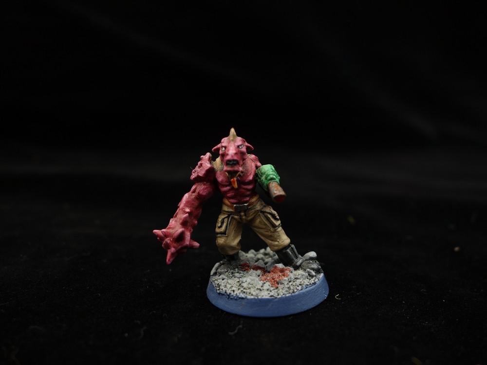 Warhammer 40K: Mutant Conversions (painted)