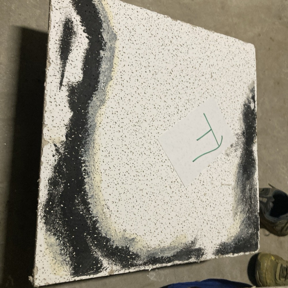 Stranger Things Prop On Set Full Ceiling tile Vine And Wall Hawkins Lab