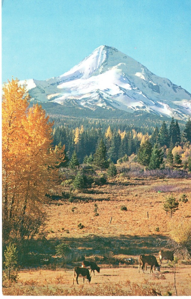 MT. HOOD, OREGON - PC4435