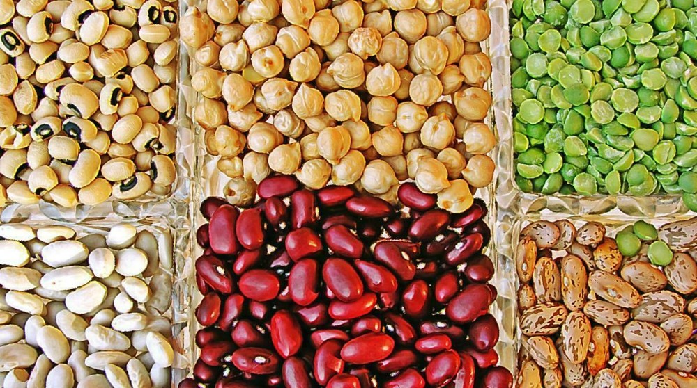 Bulk Dried Beans 3 lb. Bag (select variety from drop down)