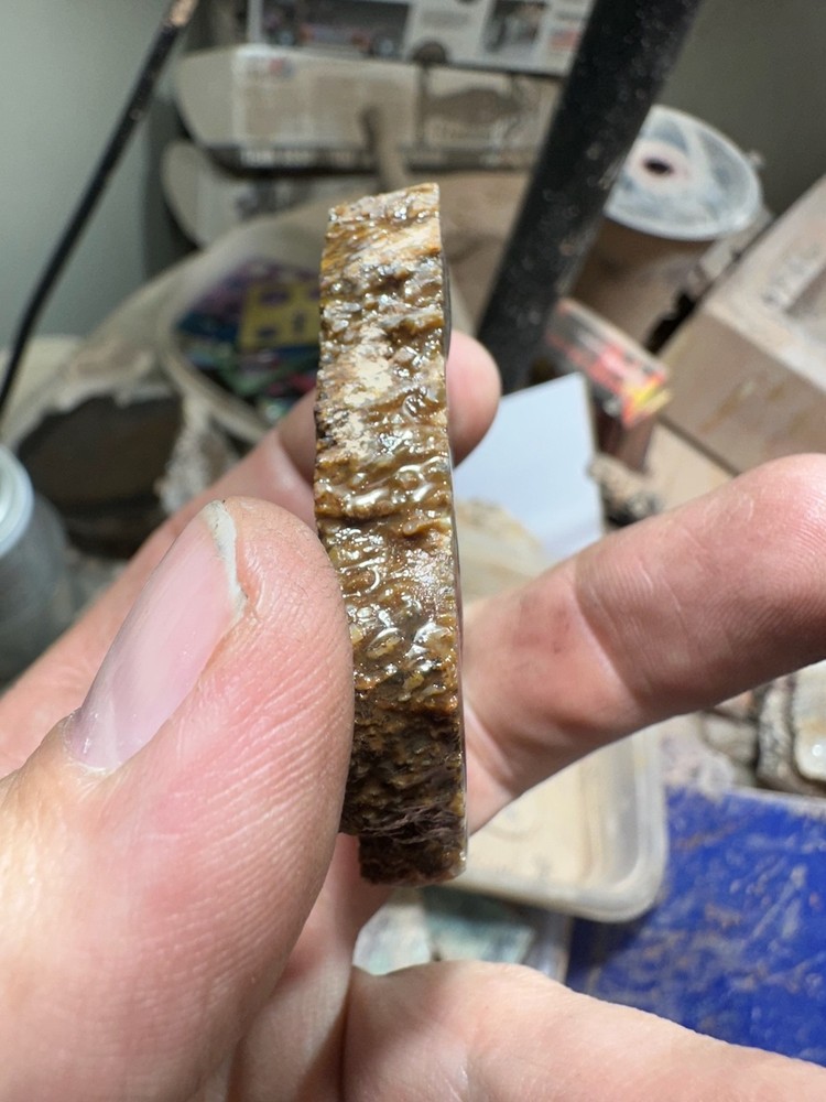 Dinosaur bone rough **hxtled slab.