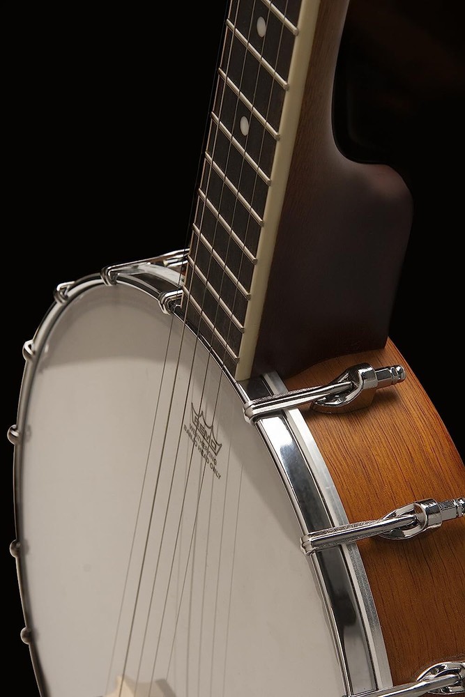 Washburn B7 5-String Open Back Banjo - Americana Series