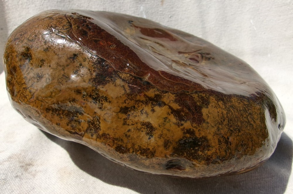 Brazil Agate Rough 19 Lbs. 15 oz.