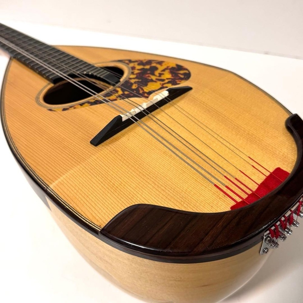 Good condition MONOPIA Mandolin with hard case included