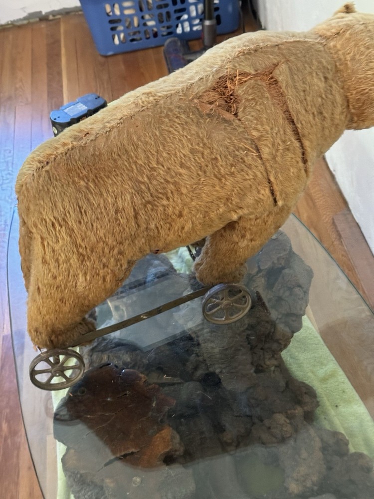 Early 1900’s Steiff Bear On Wheels