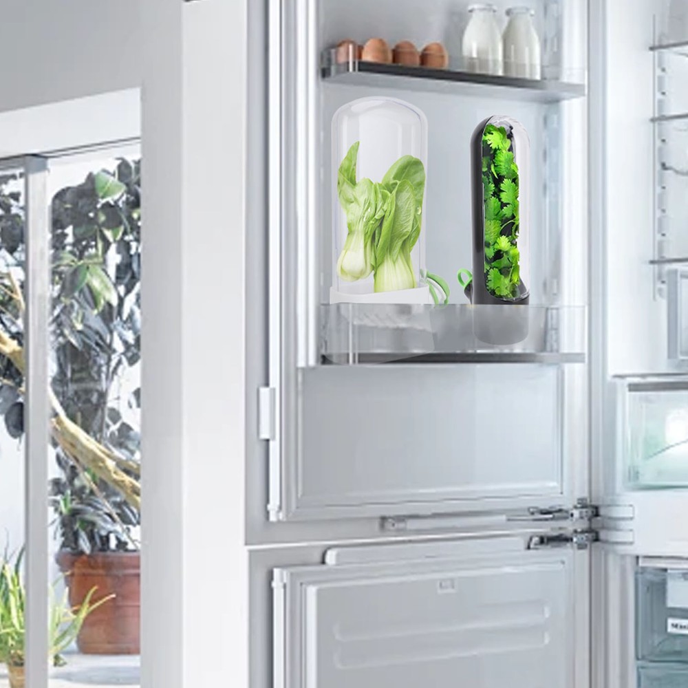 Saver Multipurpose Keep Freshness Transparent Design Pressure Resistance
