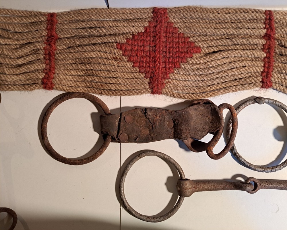 Rustic Western Horse Cowboy Wall Decor Cinch BITS