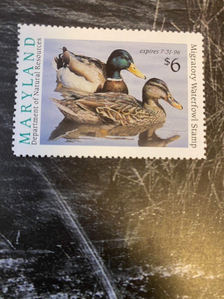 1995 Maryland State Duck Stamp,