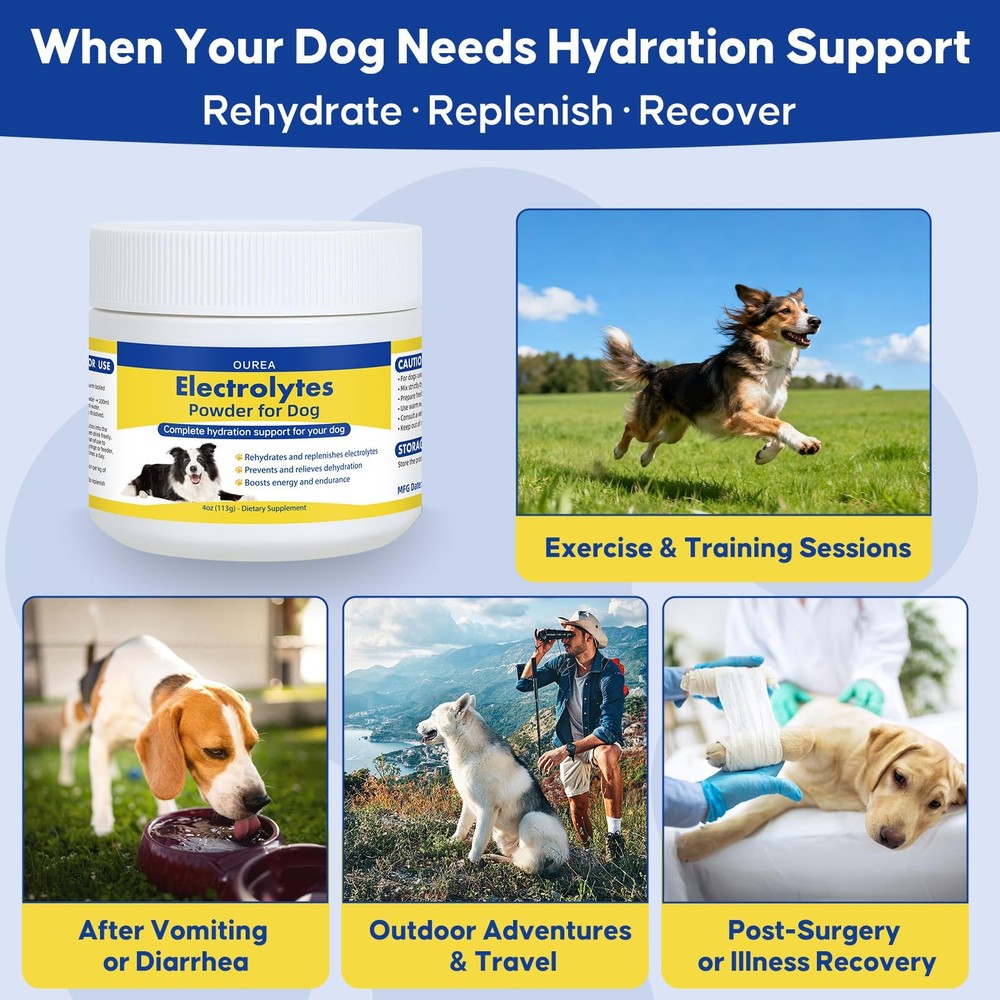 Electrolytes Powder for Dogs, Fast Hydration Support Prevents Dehydration,...