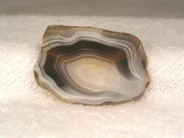 Botswana agate geode slice 2x1.5 inch r44