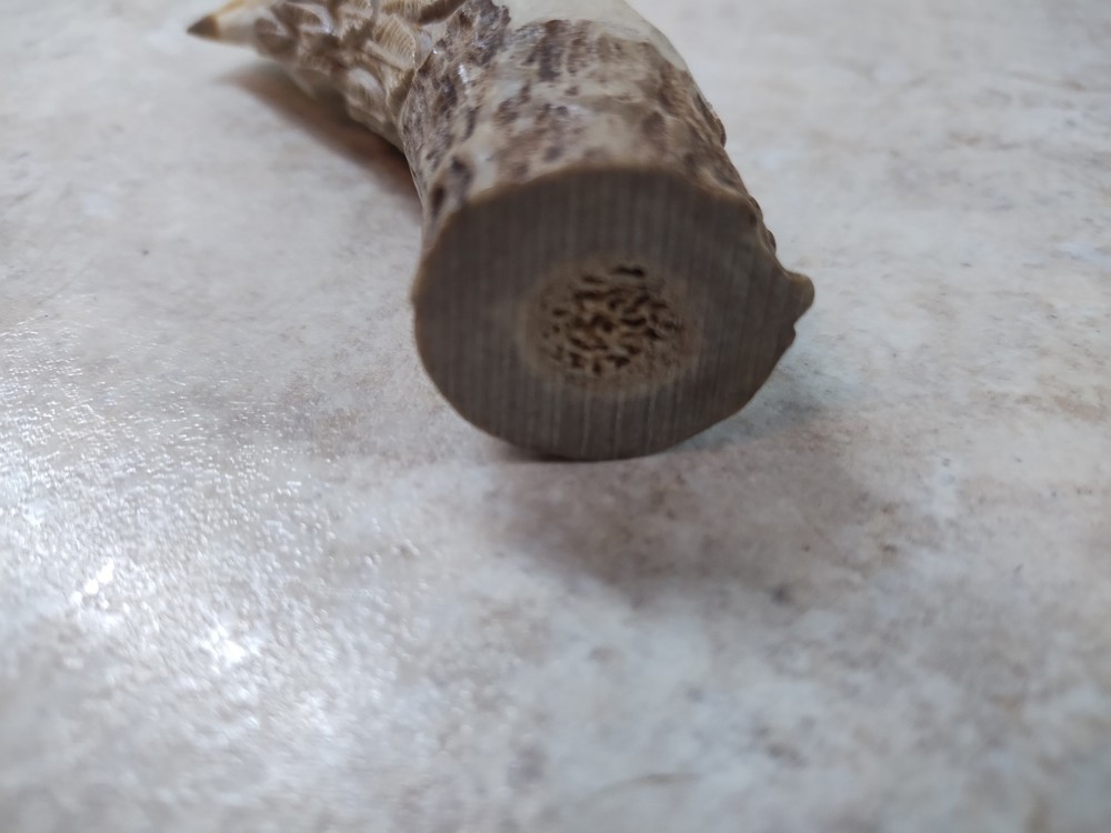 Antler Carving Eagle Head Knife Handle Blank A4