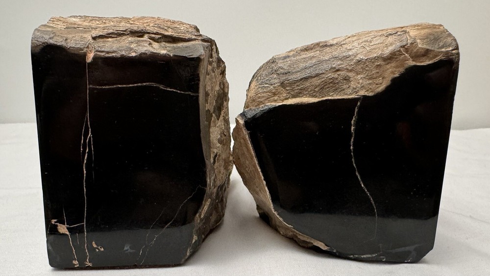 Pair Of Petrified Wood Bookends
