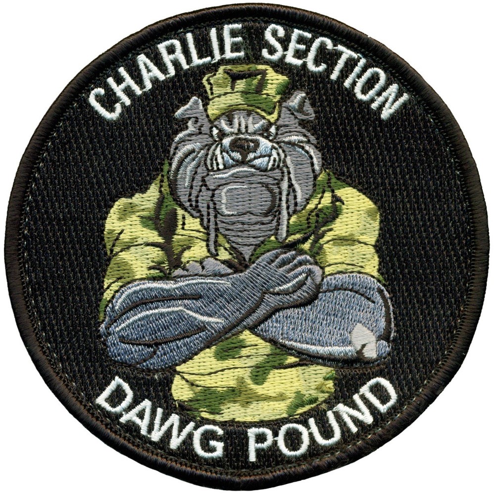 USN NAVAL SECURITY FORCE - CHARLIE SECTION PATCH